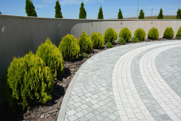 Best Paver Driveway Replacement  in Sconsin Dells, WI
